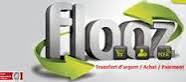 depot par flooz money